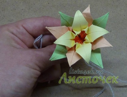 Cum Kusudama - frunze de crin (crin) Cum Kusudama - frunze de crin