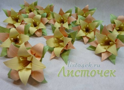 Cum Kusudama - frunze de crin (do) Cum Kusudama - frunze de crin