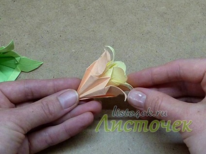 Cum Kusudama - frunze de crin (Kusudama) Cum Kusudama - frunze de crin