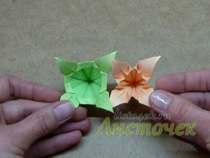 Cum Kusudama - frunze de crin (Metoda Kusudama posibil) Cum Kusudama - frunze de crin