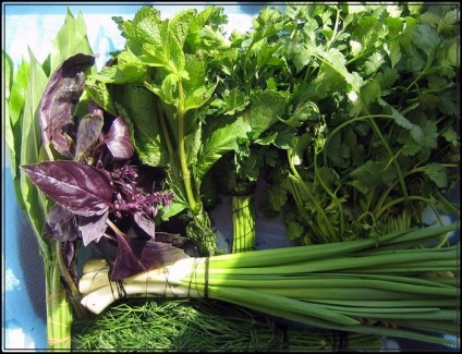 Cum de a reduce supa prokisaniya de risc - supa prokis ce să facă - produsele alimentare - altele (metoda) Cum de a reduce supa prokisaniya de risc - supa prokis ce să facă - Alimente - Altele