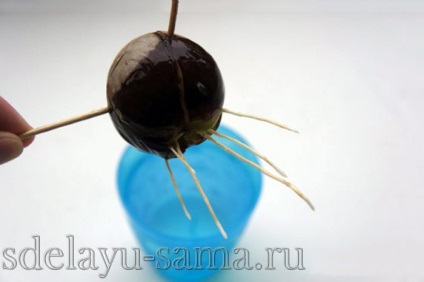 Cum să crească avocado acasă, în grădină, o fac eu (acasă) Cum să crească avocado acasă, în grădină, eu o fac eu