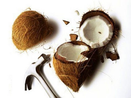 Cum de a deschide (rupe, divizat) pentru a deschide o nucă de cocos (cum se deschide) Cum de a deschide (rupe, divizat) pentru a deschide o nucă de cocos