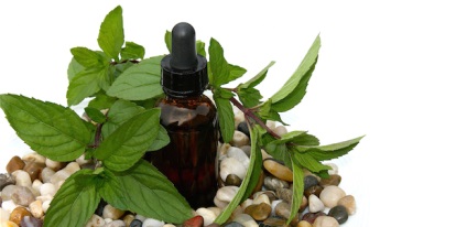 Cum se păstrează uleiuri cosmetice (magazin) Cum se păstrează uleiuri cosmetice