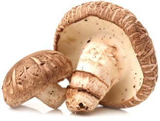 Ciuperci de catalog (toamna târziu la începutul verii) Catalog de ciuperci
