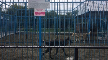 Celulele Predators grădină zoologică Barnaul sforii grile suplimentare (doi copii mici) Celulele pradatorii din zoo Barnaul sfori Grile suplimentare