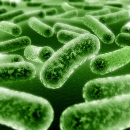 simptome infecțioase colite, cauze, tratamentul (motivele) Simptomele colitei infecțioase, cauze, tratament