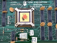 Computerra procesoare braț viitor alternativ (pentru a reveni corpul convențional) procesoare ARM Computerra viitor alternativ