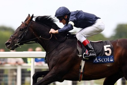 Royal curse de cai ascot regal - istorie și tradiție (regală) curse de cai Royal Ascot regal - istorie și tradiție
