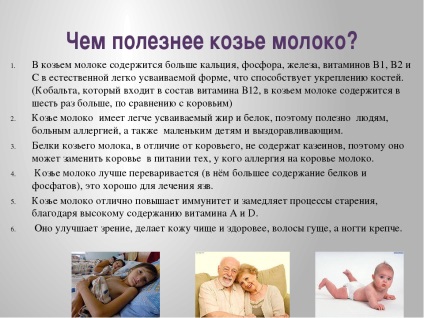 Laptele de capră este proprietăți utile și contraindicații (utile) Laptele de capră este proprietăți utile și contraindicații