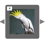 Puzzle pentru copii online rezolva gratuit (integrame online gratuit) Puzzle-uri pentru copii online rezolva gratuit