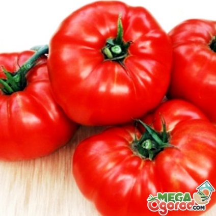 roșii mari, fructe - in special soiuri de specii diferite, avantajele lor și tehnologia de plantare (tehnologie) roșii de fructe mari - în special soiuri de diferite tipuri, avantajele lor și tehnologia de plantare