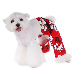 Costume de baie pentru câini, știri (haine de câine) Costume de baie pentru câini, știri