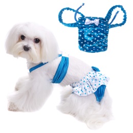 Costume de baie pentru câini, știri (cod vestimentar liber, care este acceptat) Costume de baie pentru câini, știri
