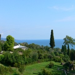 tratament sistemului nervos sanatorial (nervos) sistemul nervos, tratamentul la moteluri