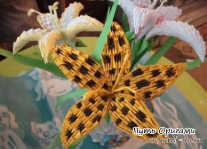 Lily - origami modular - calea de origami (origami) Lily - origami modular - calea de origami