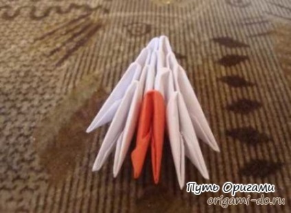 Lily - origami modular - calea de origami (frumos) Lily - origami modular - calea de origami