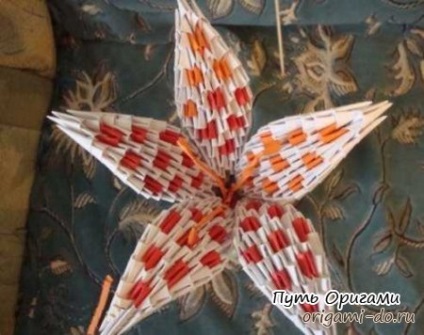Lily - origami modular - calea de origami (numai) Lily - origami modular - calea de origami
