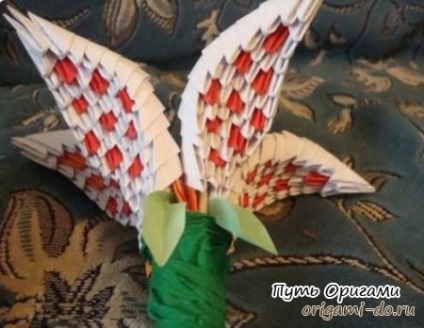 Lily - Origami modulare - Cale origami (modulare) Lily - origami modular - calea de origami