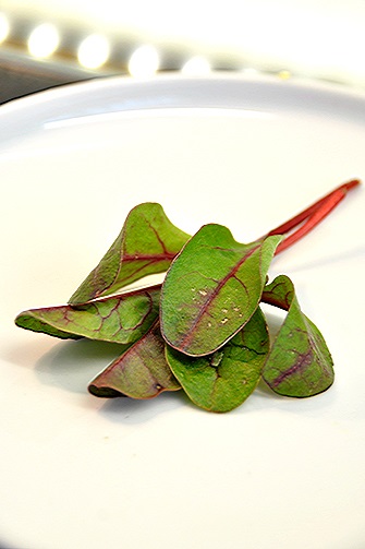 salate (salata verde) foi salată verde
