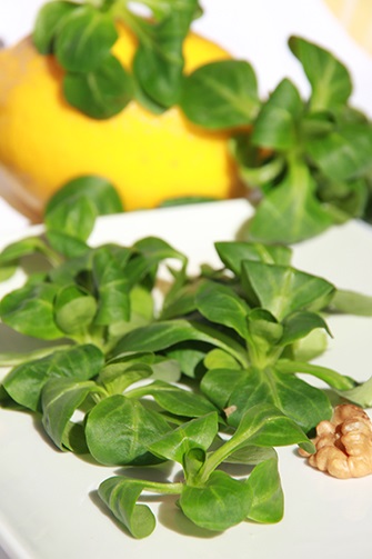 salate de tip foaie (Calorii salata kcal grame) salată verde