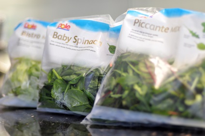 salate de foi (salată grame kcal) salată verde