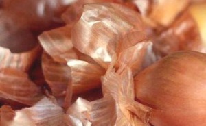 Ceapa coaja - un vindecator pentru plante, foaie de ieftin mamei (plante) Ceapa coaja - un vindecator pentru plante, foaie de ieftin mamei