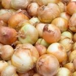 Caracteristici ceapa si secrete Masini (practici agricole) Caracteristici ceapa si secrete ale practicilor agricole