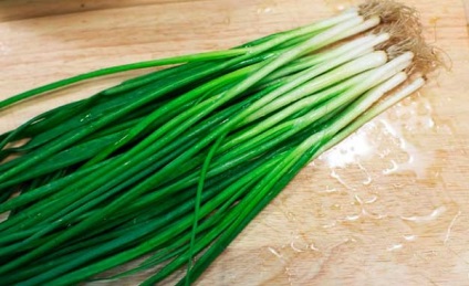 Ceapa caracteristici și secrete Mașini (mai ales) Caracteristici ceapa si secrete ale practicilor agricole