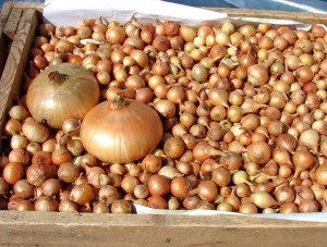 Ceapa stabilește secrete de cumpărare de succes! (Secretele) Ceapa stabilește secrete de cumpărare de succes!