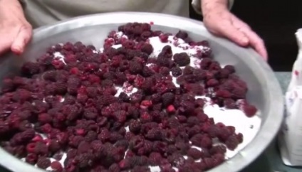 gem de zmeura 3 retete cele mai utile și delicioase (zmeură) gem de zmeură 3 retete cele mai utile și delicioase