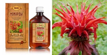 Oil Monarda proprietăți de aplicare, contraindicații (Monarda) Monarda proprietăți de aplicare ulei, contraindicații
