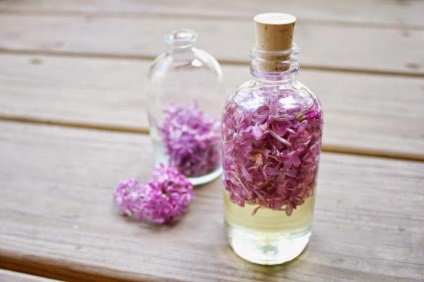 liliac de ulei - un medicament terapeutic remarcabil (de droguri) ulei Lilac - preparat medical minunat