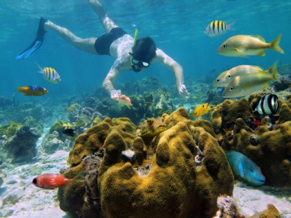 concediu mexican cu - copii, sau top 5 de divertisment pentru întreaga familie - Cancun (familie) concediu mexican cu - copii, sau top 5 de divertisment pentru întreaga familie - Cancun