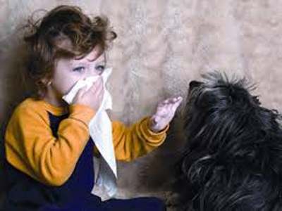 Antimeningococic patogen bolii, epidemiologie, patogeneza, imunitate (meningococ) Antimeningococic patogen bolii, epidemiologie, patogeneza, imunitatea