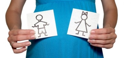 Metode de planificare a sexului ovulatiei copil (ovulația) Metode de planificare a sexului copilului ovulatiei