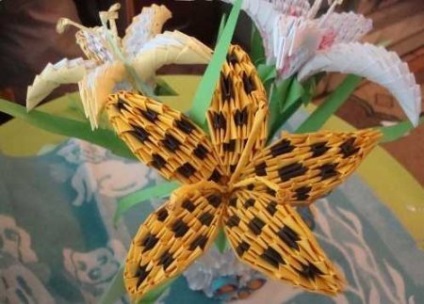 Origami modular (module) origami modular