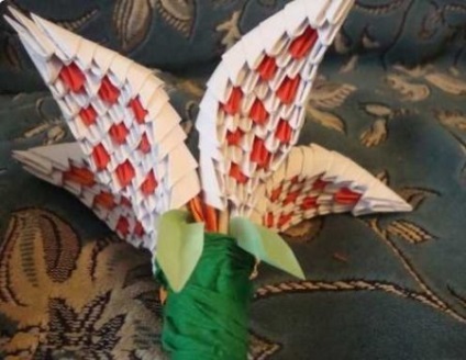 Origami modular (module) origami modular
