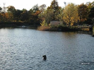 În ziua în Finlanda Kotka (povești despre restul) În ziua de Kotka în Finlanda