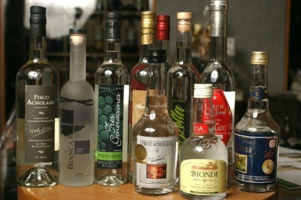 Bea Pisco (Pisco) - descrierea și tipurile (Pisco) Bea Pisco (Pisco) - descrierea tipurilor și