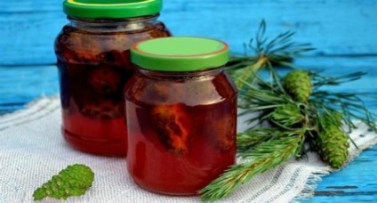 Tinctura de conuri de pin rețete proprietăți și aplicare (perfuzie) Tinctura de rețete conuri de pin și proprietăți de aplicare