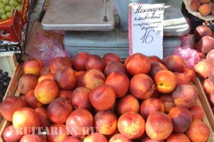Nectarine - măr și prun (nectarine) Nectarine - mere și prune