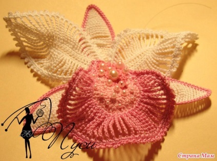 orhidee Gentle (scheme) orhidee delicate