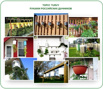 Topsy noua tehnologie balmeș într-o seră cresc rădăcini! (Noua tehnologie turvy topsy în seră, cresc rădăcini) Topsy noua tehnologie balmeș într-o seră cresc rădăcini!