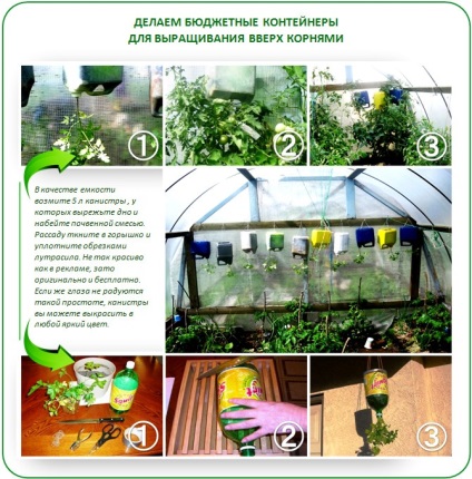 Topsy noua tehnologie balmeș într-o seră cresc rădăcini! (Grow) Topsy noua tehnologie balmeș într-o seră cresc rădăcini!