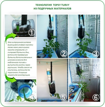 Topsy noua tehnologie balmeș într-o seră cresc rădăcini! (Noua tehnologie turvy topsy în seră, cresc rădăcini) Topsy noua tehnologie balmeș într-o seră cresc rădăcini!