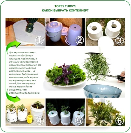 Topsy noua tehnologie balmeș într-o seră cresc rădăcini! (Turvy) Topsy noua tehnologie balmeș într-o seră cresc rădăcini!