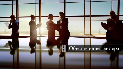 Asigurarea ofertei (de credit de proiectare licitație) asigurarea ofertei