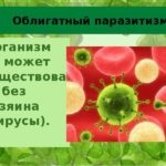 Facultativă și obligã paraziți și exemple de contrast la oameni (exemple) Obligã și paraziți de contrast si facultativa exemple la om