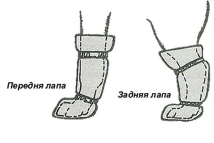 Pantofi pentru câini cu propriile lor mâini, model, de ce, cum de a alege un lider (pantofi) Pantofi pentru câini cu propriile lor mâini, model, de ce, cum de a alege un lider